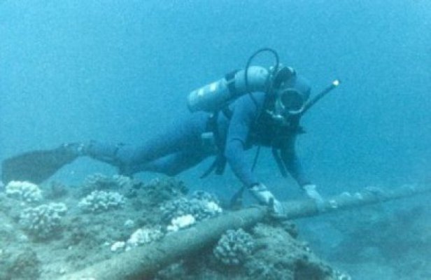 Consultanţă de la italieni, pentru cablu energetic submarin Constanţa-Istanbul